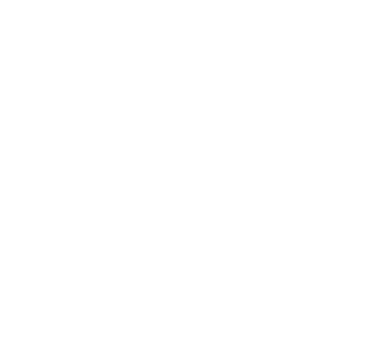 Pancreatic Cancer Action Network