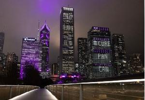Chicago Purple Lights